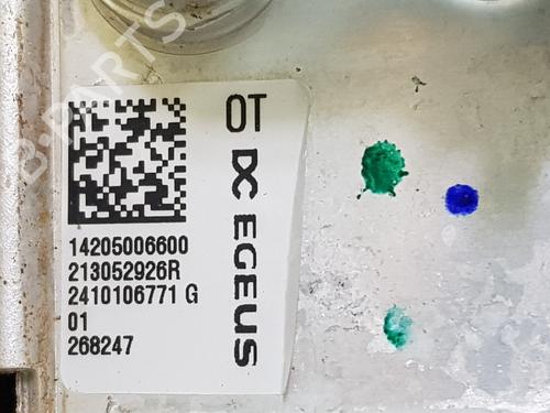 Engine RENAULT ARKANA I (LCM_, LDN_)  | BP32510373M1 