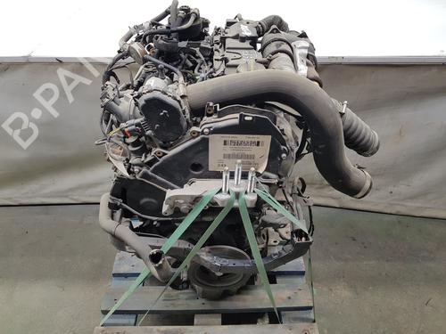 Engine FORD TRANSIT COURIER B460 Box Body/MPV | BP33927280M1 - Image 4