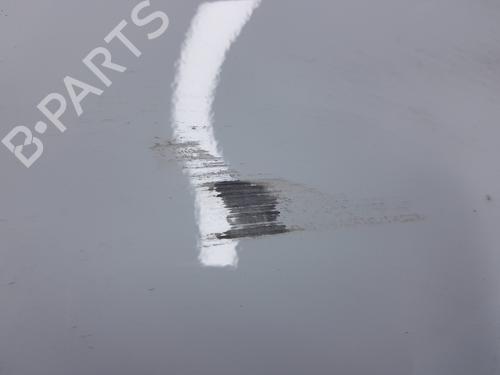 Left rear door RENAULT TRAFIC III Van (FG_)  | BP16198263C4 