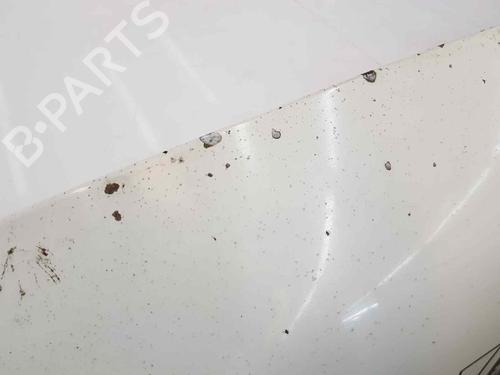 Hood FORD TRANSIT CONNECT (P65_, P70_, P80_) 1.8 TDCi | BP5790851C1 