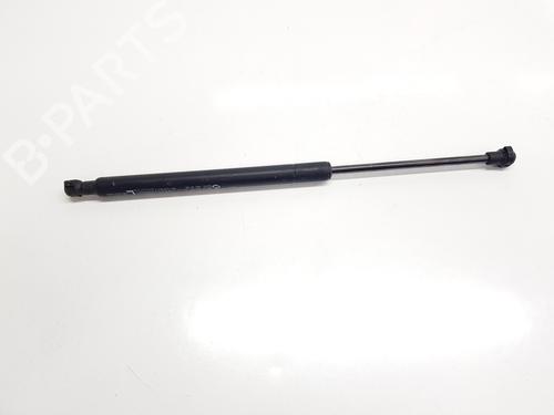 other-renault-arkana-i-lcm_-ldn_-2019-34253855 main image