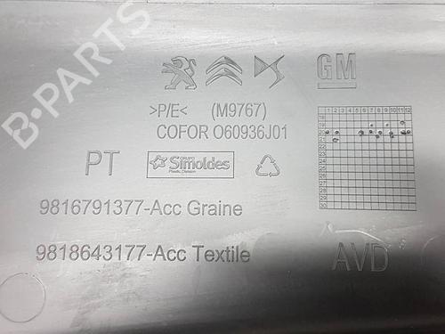 Front right panel CITROËN BERLINGO (ER_, EC_) | BP38487755C59 - Image 3