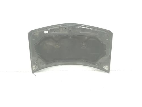 Hood RENAULT MEGANE II (BM0/1_, CM0/1_) 2.0 16V (BM0U, CM0U) | BP16030495C1 
