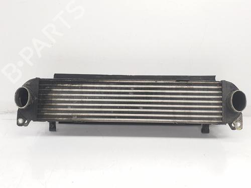 Intercooler LAND ROVER DISCOVERY III (L319) 2.7 TD 4x4 (190 hp) 11699016