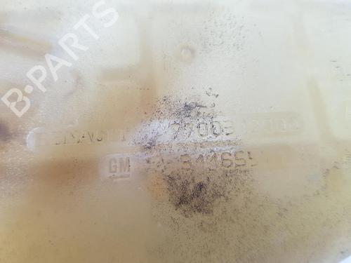 Expansion tank RENAULT TRAFIC II Bus (JL) 1.9 dCI 100 (JL0C, JL0K) | BP11060480C120 