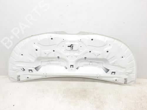 Hood RENAULT TRAFIC III Van (FG_) 1.6 dCi 140 (FGMA, FGMC) | BP29970358C1