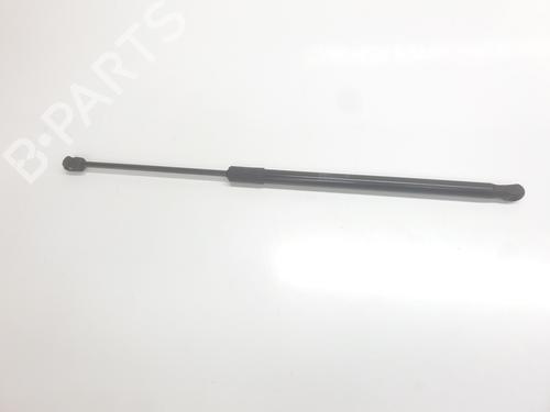 gasdmper-bagklap-vw-id3-e11-e12-2019-34407196 main image
