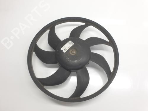 Radiator fan FIAT DUCATO Van (250_)  | BP29728808M35 