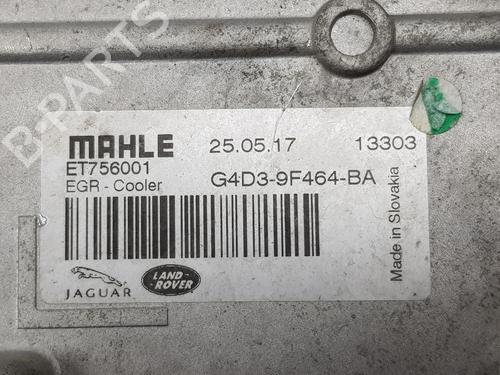 Egr LAND ROVER RANGE ROVER EVOQUE (L538) 2.0 D | BP31958140M69