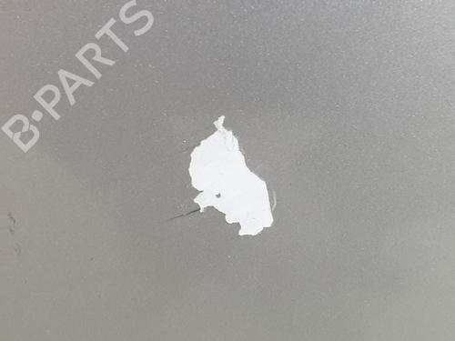 Left front door VW PASSAT B5.5 (3B3) 1.9 TDI | BP9817548C2 