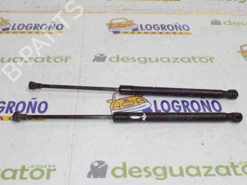 Tailgate lift support BMW 1 (E87) 120 d 51247060622 | 7060622 |