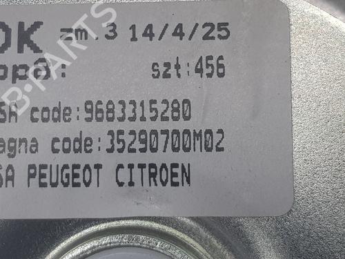 Tailgate lift support PEUGEOT 3008 I MPV (0U_) 1.6 HDi 115 / BlueHDi 115 | BP14114411C138 