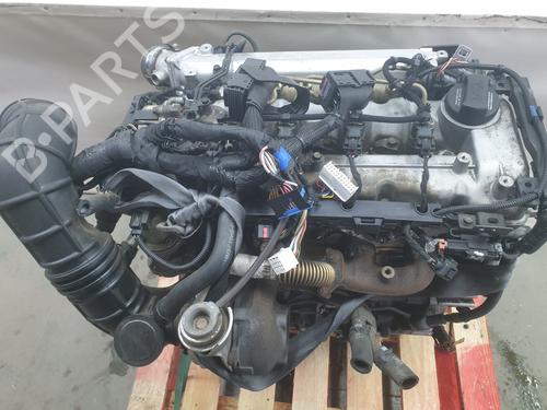 Used Engine KIA RIO II (JB) 1.5 CRDi (110 hp) 31857062