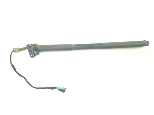 Tailgate lift support BMW 3 (F30, F80) 318 d | BP17769445C138 