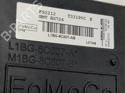 Radiator fan FORD PUMA (J2K, CF7) 1.0 EcoBoost mHEV | BP30762367M35