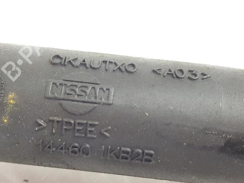 Pipe NISSAN JUKE (F15)  | BP31129579M125 
