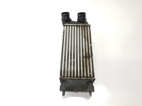 Intercooler PEUGEOT PARTNER Tepee 1.6 BlueHDi 100 | BP21327210M30 