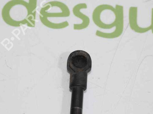Tailgate lift support BMW 1 (E87) 116 d | BP14119795C138 