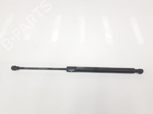 Tailgate lift support RENAULT CLIO IV (BH_) 1.5 dCi 90 | BP14092419C138 