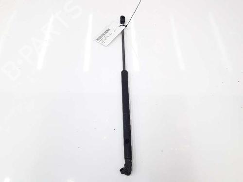 Hood lift support AUDI Q7 (4LB) 4.2 TDI quattro | BP14072562C139 