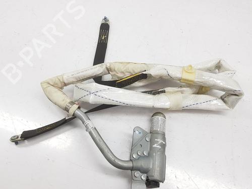 Left curtain airbag LAND ROVER RANGE ROVER III (L322) 3.6 D 4x4 | BP14990421C11 