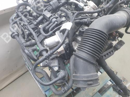 Engine FORD PUMA (J2K, CF7) | BP35933739M1 - Image 3
