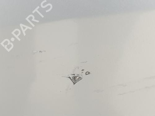 Left front door RENAULT TRAFIC III Van (FG_) 1.6 dCi 140 (FGMA, FGMC) | BP30391527C2 