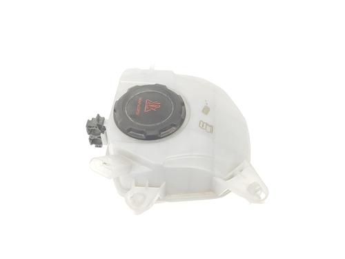 Expansion tank SEAT IBIZA V (KJ1, KJG) 1.0 TGI | BP13638755C120