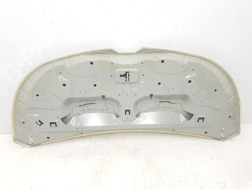 Hood RENAULT TRAFIC III Van (FG_) 1.6 dCi 140 (FGMA, FGMC) | BP30262844C1 