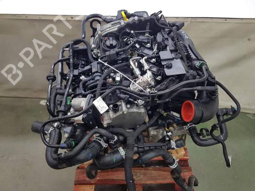 Engine FORD PUMA (J2K, CF7)  | BP39469537M1  - Image 7
