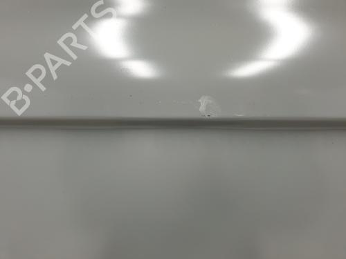 Right rear door RENAULT TRAFIC III Van (FG_)  | BP21055025C5