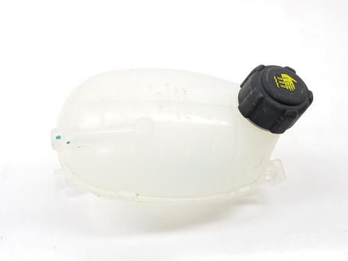 expansion-tank-renault-arkana-i-lcm_-ldn_-2019-33694650 main image