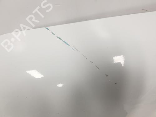 Left rear door FORD TRANSIT CONNECT (P65_, P70_, P80_) 1.8 Di | BP16082690C4