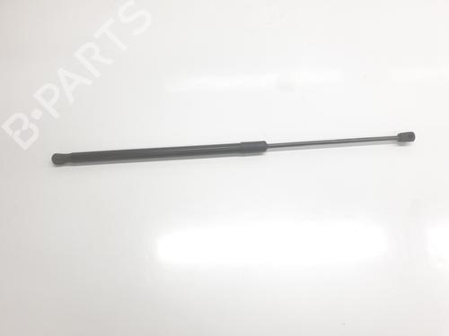 tailgate-lift-support-dacia-duster-pym_-pyn_-2023-34354027 main image