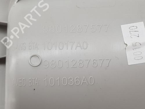 Interior roof light CITROËN C4 CACTUS 1.2 VTi 82 | BP28795812I8 