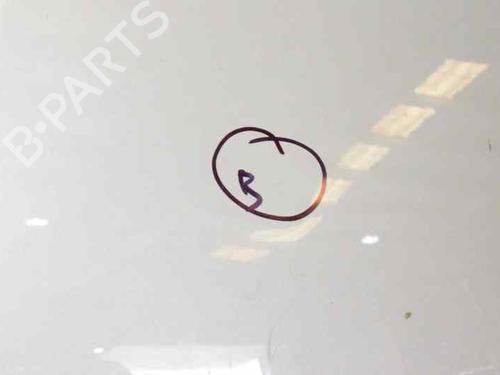 Hood RENAULT CLIO III (BR0/1, CR0/1)  | BP1425003C1 
