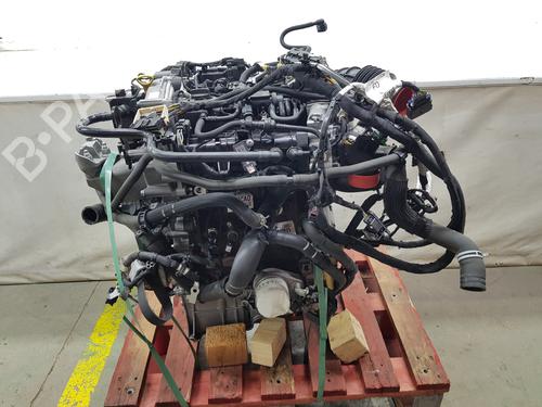 Engine FORD FOCUS IV (HN) | BP36699513M1 - Image 2