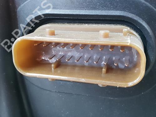 Gearkasse FORD TRANSIT V363 Platform/Chassis (FED, FFD)  | BP31593824M3 