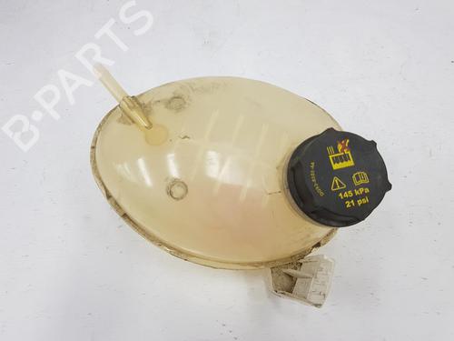 Used Expansion tank FORD ECOSPORT 1.0 EcoBoost (125 hp) 11128904