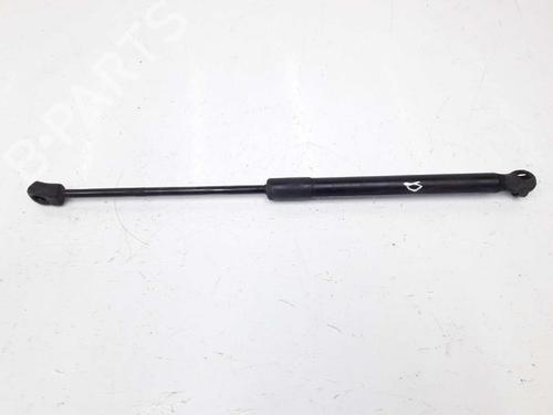 Used Hood lift support BMW X5 (E70) 3.0 d (235 hp) 14074559