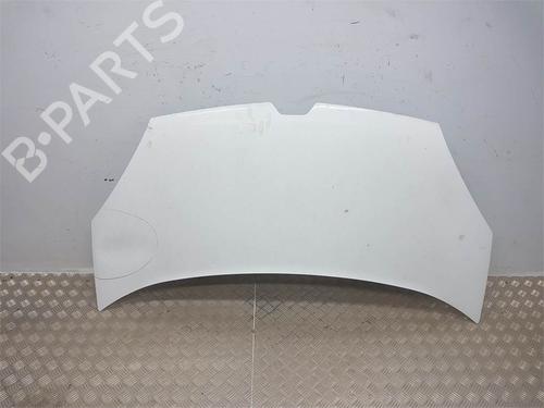 hood-renault-kangoo-grand-kangoo-ii-kw01_-2008-38445440 main image