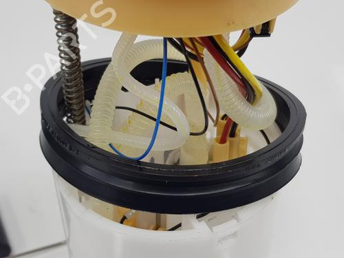 Fuel pump VW CRAFTER Van (SY_, SX_)  | BP29534886M76 