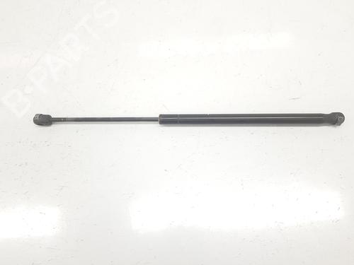Tailgate lift support MINI MINI COUNTRYMAN (R60) Cooper D ALL4 | BP14101350C138