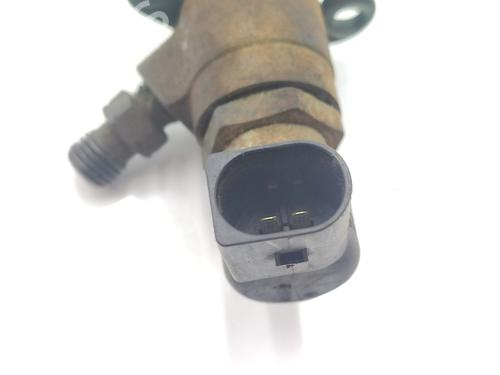 Injector LAND ROVER RANGE ROVER SPORT I (L320) 2.7 D 4x4 | BP14832387M100 