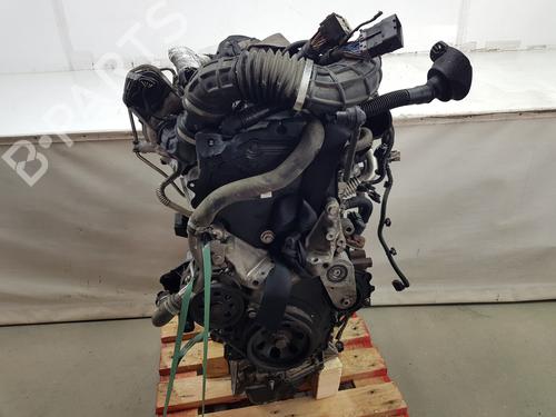 Engine FORD TRANSIT V363 Van (FCD, FDD)  | BP31991971M1 