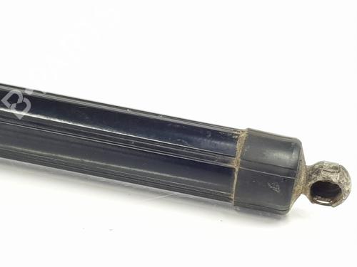 Tailgate lift support PORSCHE PANAMERA (970) 3.0 D | BP24939785C138 