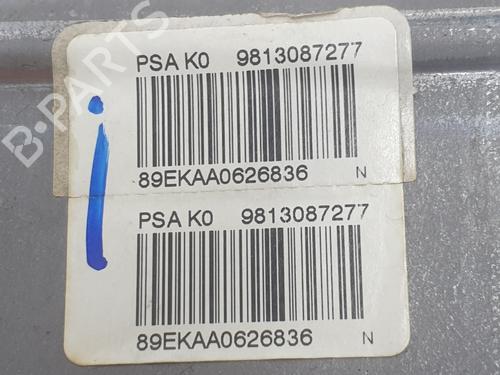 Hand brake PEUGEOT EXPERT Van (V_)  | BP31589598I18 