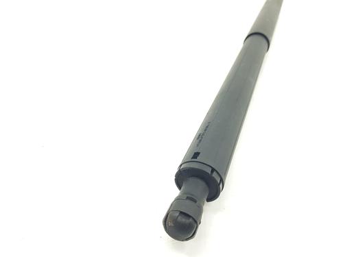 Tailgate lift support BMW X1 (F48) sDrive 18 d | BP21558434C138 