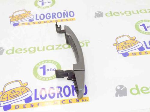 Rear right exterior door handle LAND ROVER RANGE ROVER SPORT I (L320) 3.6 D 4x4 | BP1641072C130 