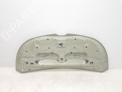 Hood RENAULT TRAFIC III Van (FG_) 1.6 dCi 140 (FGMA, FGMC) | BP30262843C1